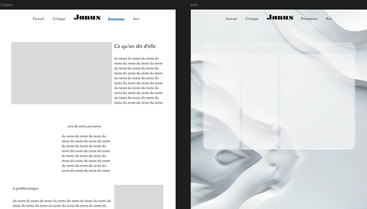 capture d'écran de mon code janus